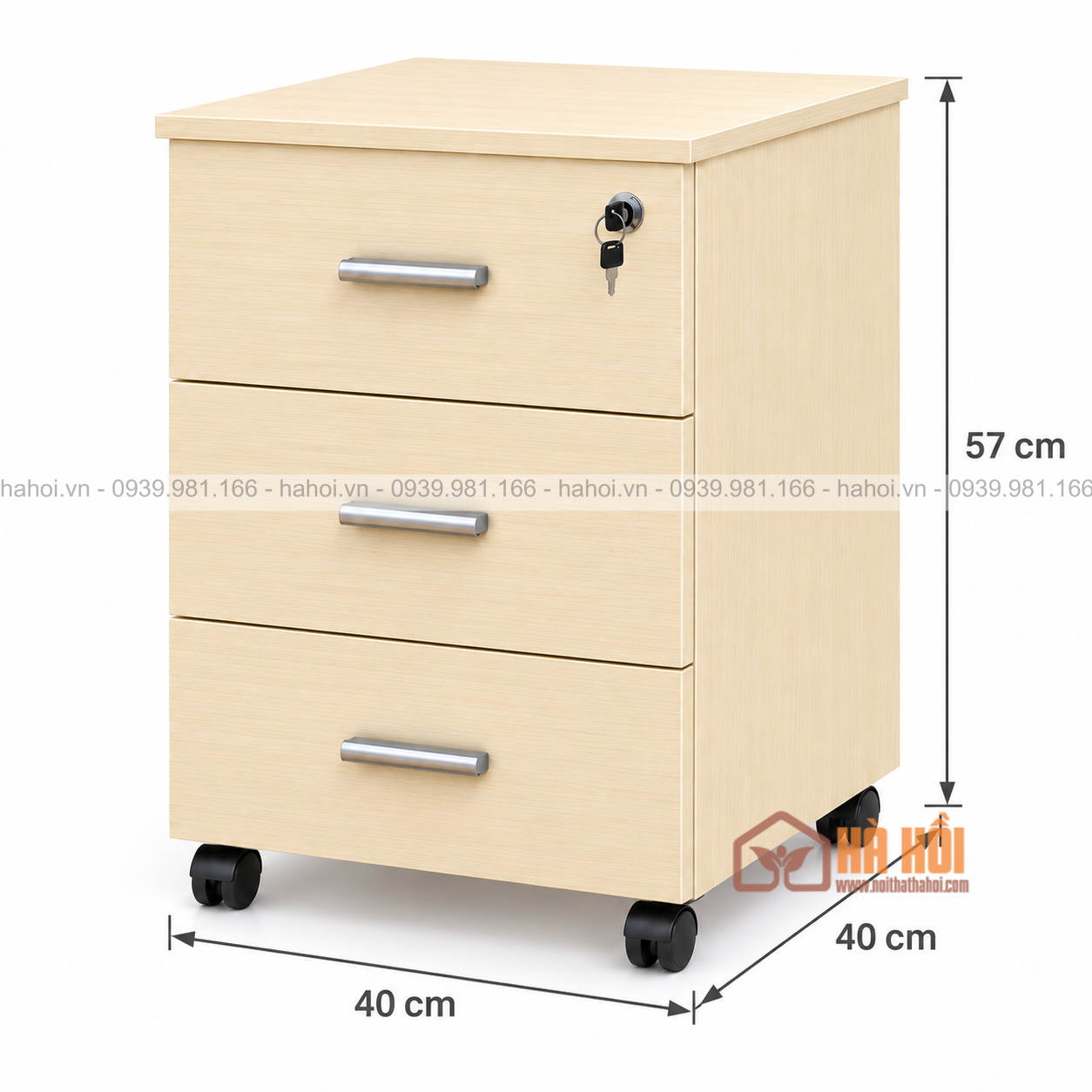Hộc tủ tài liệu HTL1 - Ảnh 3
