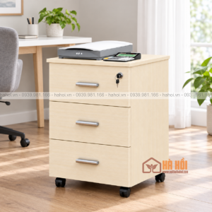 Hộc tủ tài liệu HTL1