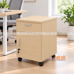Hộc tủ tài liệu HTL2