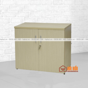 Tủ tài liệu thấp 2 buồng TVP9