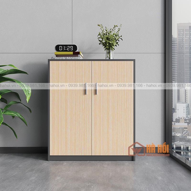 Tủ tài liệu gỗ hiện đại TL02