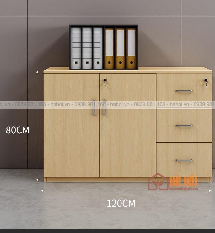 Tủ tài liệu thấp 1m2 TL04 - Ảnh 3