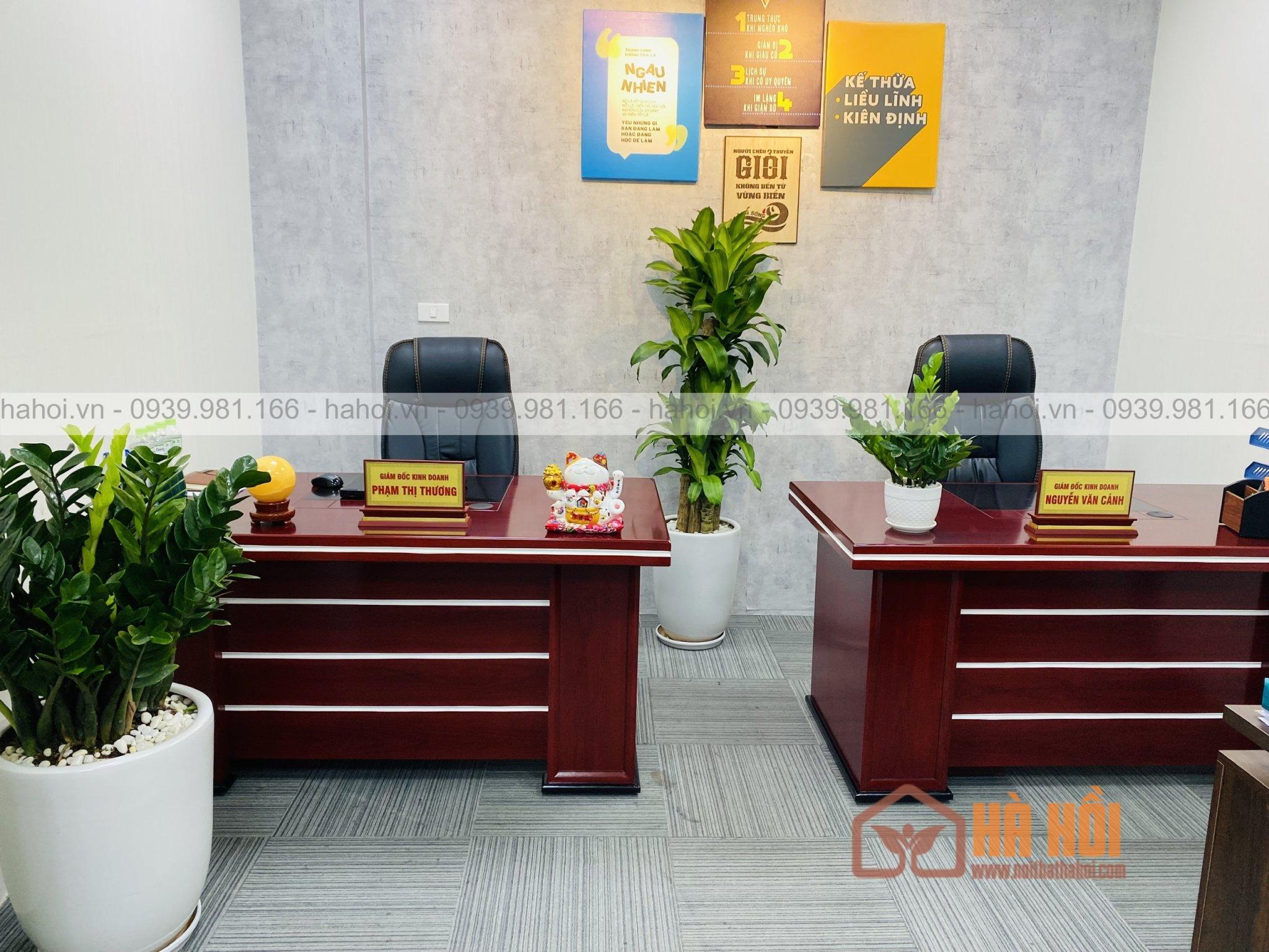 Bàn giám đốc không hộc 1m6 BLĐ12