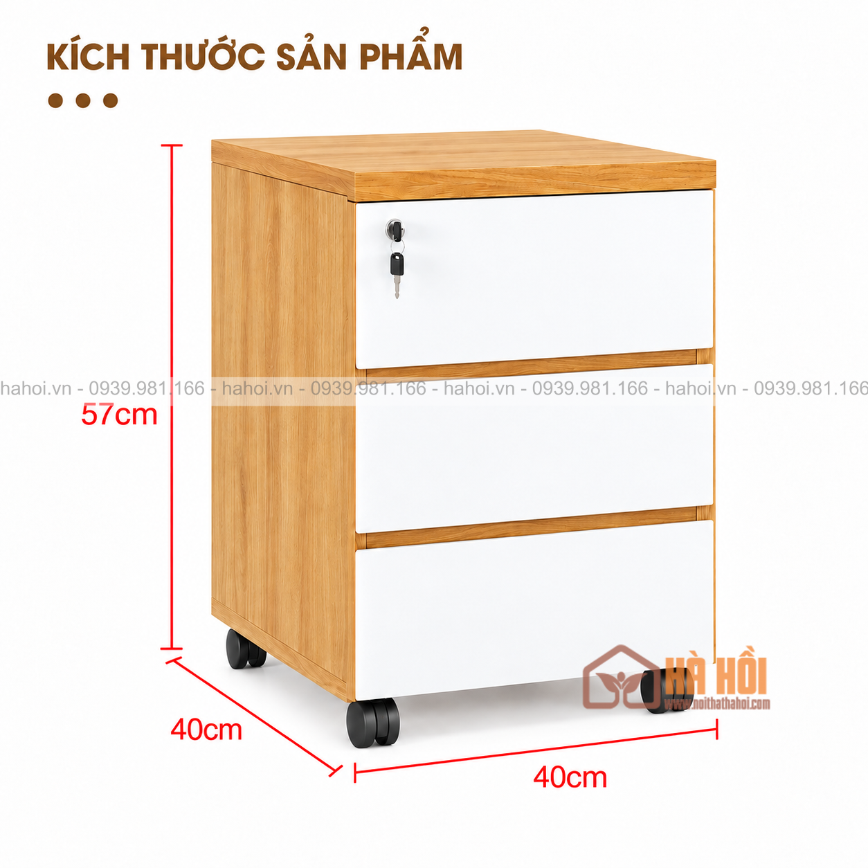 Hộc tủ tài liệu HTL1-2 - Ảnh 2